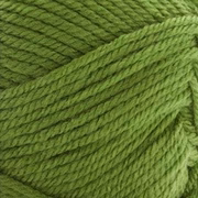 Everyday Worsted 100-82 Green Apple. Anti-Pilling Acrylic from Premier Yarns.